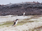 ポートシャルコー（イメージ）