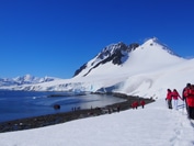 ロバートポイント（イメージ）