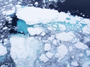 海氷（イメージ）