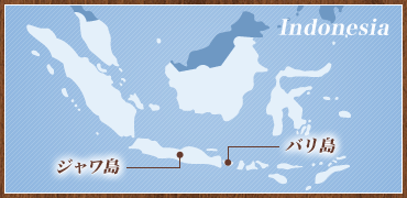 Indonesia ジャワ島 バリ島