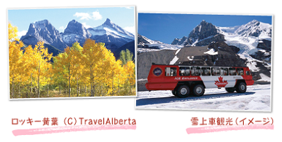 ロッキー黄葉（C）Travel Alberta雪上車観光（イメージ）
