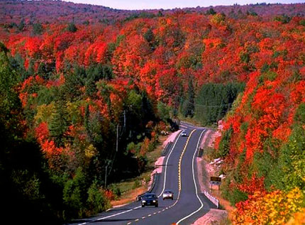 アルゴンキン州立公園の紅葉（イメージ）