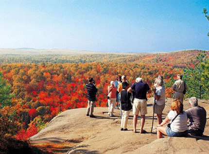 アルゴンキン州立公園の紅葉（イメージ）