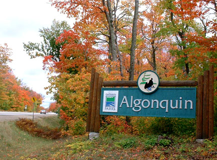 アルゴンキン州立公園 カナダ旅行 ツアー 観光 クラブツーリズム