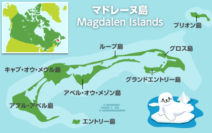 知られざるカナダの観光地 ニューファンドランド島 マドレーヌ島 カナダ旅行 ツアー 観光 クラブツーリズム