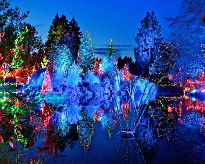 バンデューセン植物園クリスマス