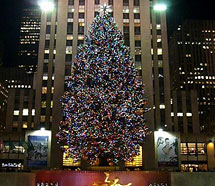 ロックフェラーセンター前の クリスマスツリー(イメージ)