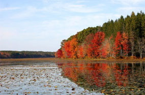 コネチカットの秋の風景イメージ