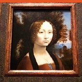 ダヴィンチ 『ジネブラ・デ・ベンチの肖像』 のイメージ