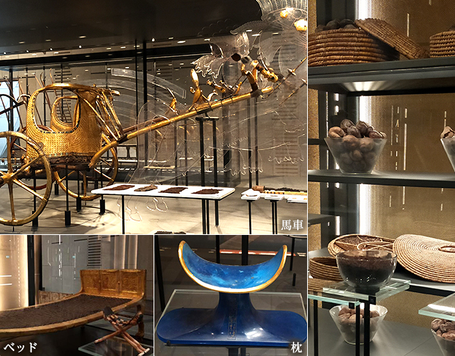 生活を垣間見ることができる展示（イメージ）