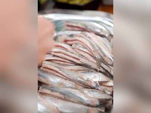 ニシンのイメージ