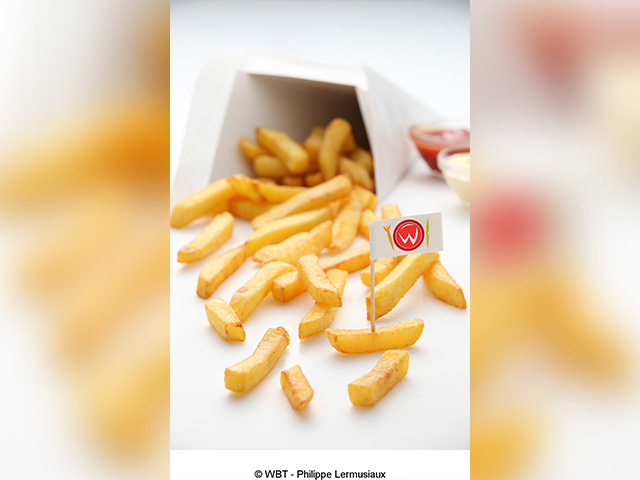 フリッツのイメージ