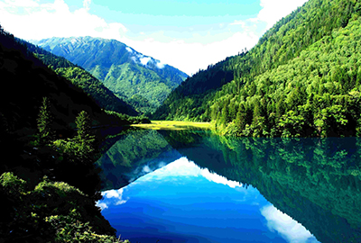 箭竹海（イメージ）