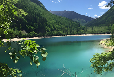 パンダ海（イメージ）