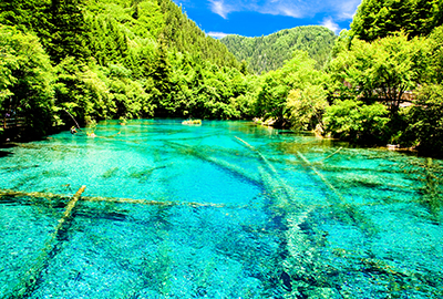 五花海（イメージ）