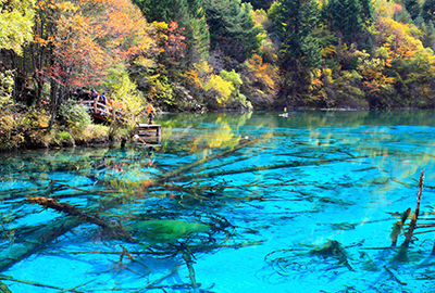 秋の五花海（イメージ）