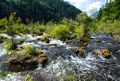 珍珠灘（イメージ）
