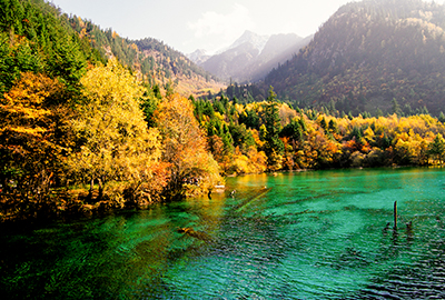 紅葉の五海花（イメージ）