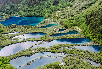 夏の樹正群海（イメージ）