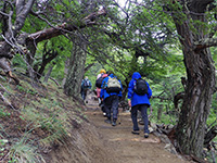 カプリ湖ハイキング（イメージ）