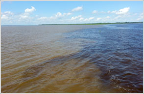 アマゾン川(イメージ)