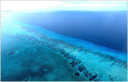 ブルーホール周辺のサンゴ礁(イメージ)