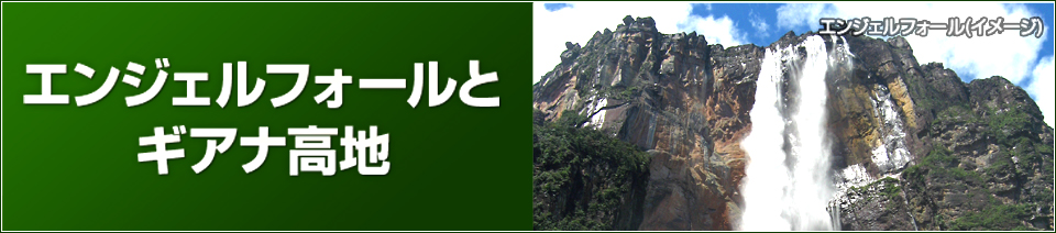 観光地情報 ギアナ高地 エンジェルフォールツアー 旅行 観光 南米 中米の旅 クラブツーリズム