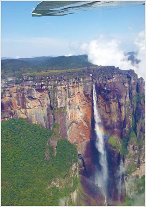 観光地情報 ギアナ高地 エンジェルフォールツアー 旅行 観光 南米 中米の旅 クラブツーリズム