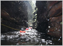 縄つたい(イメージ)