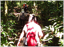 エンジェルフォールへの道(イメージ)