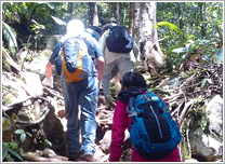 エンジェルフォールへの道(イメージ)