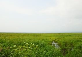 白鳥湖（イメージ）