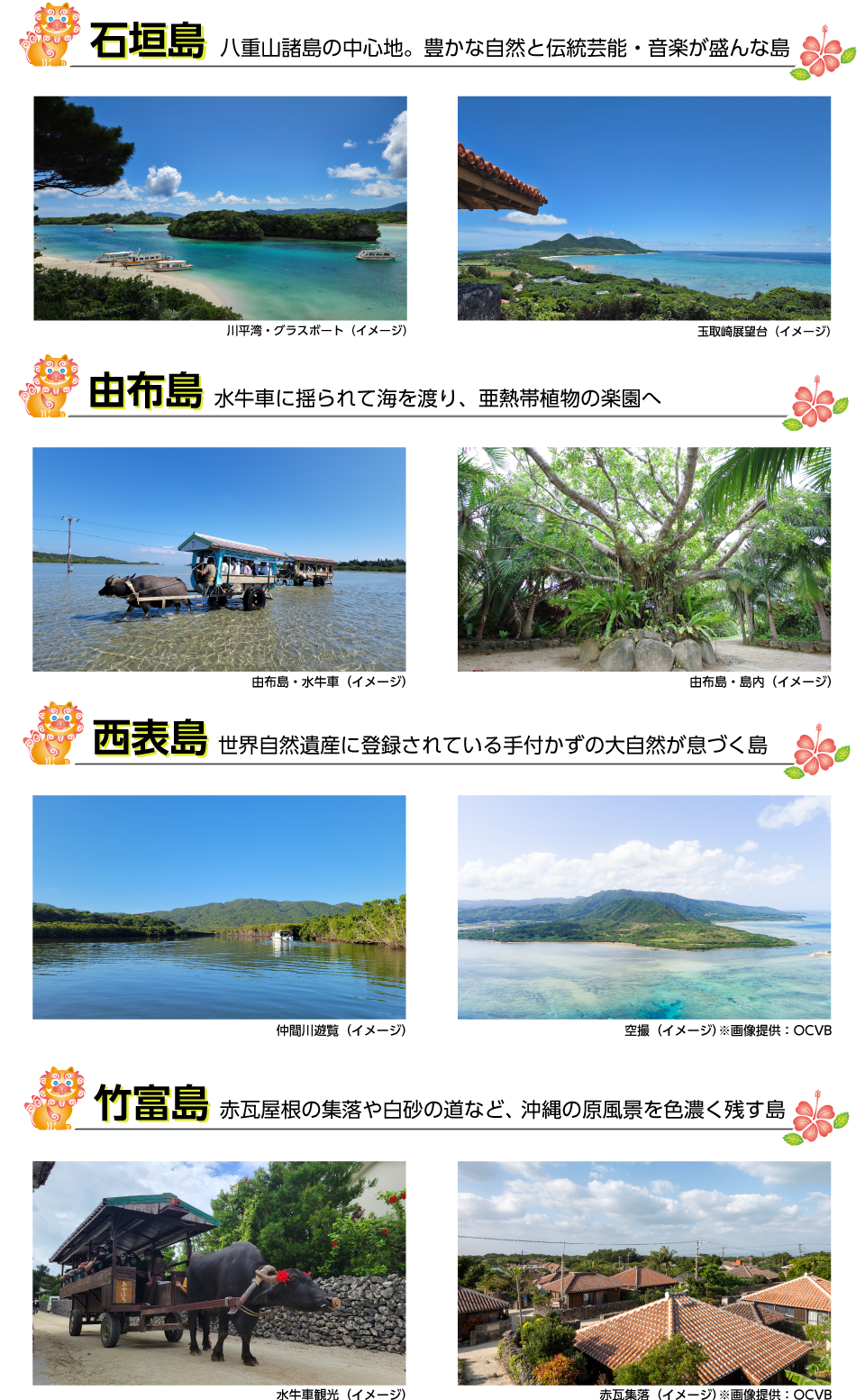 ポイント②：特色あふれる八重山の島々で絶景めぐり！