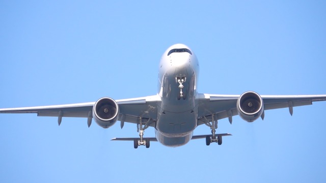 往復石垣空港直行便利用