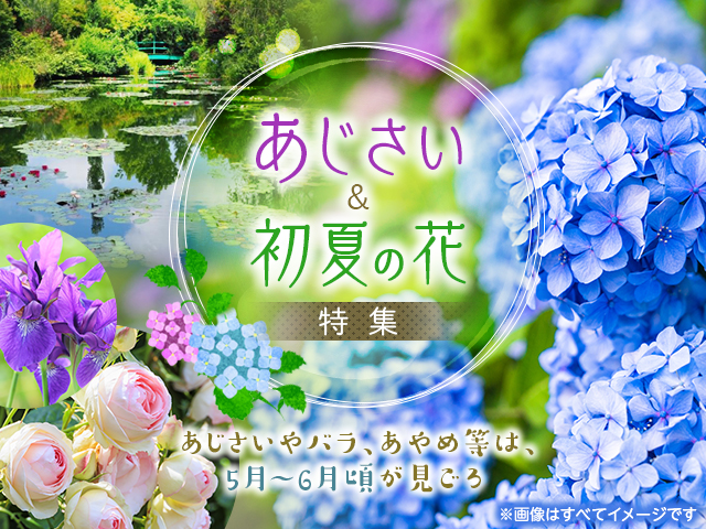 【東京23区発】列車・飛行機で行くあじさい・初夏の花ツアー・旅行2024