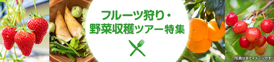 【中部・東海発】フルーツ狩り・野菜収穫ツアー・旅行