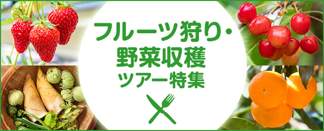 【千葉発】フルーツ狩り・野菜収穫ツアー・旅行