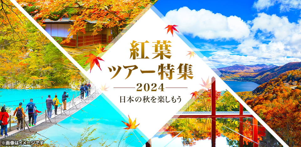 【東京23区発】列車・飛行機で行く秋の紅葉ツアー・紅葉旅行2024