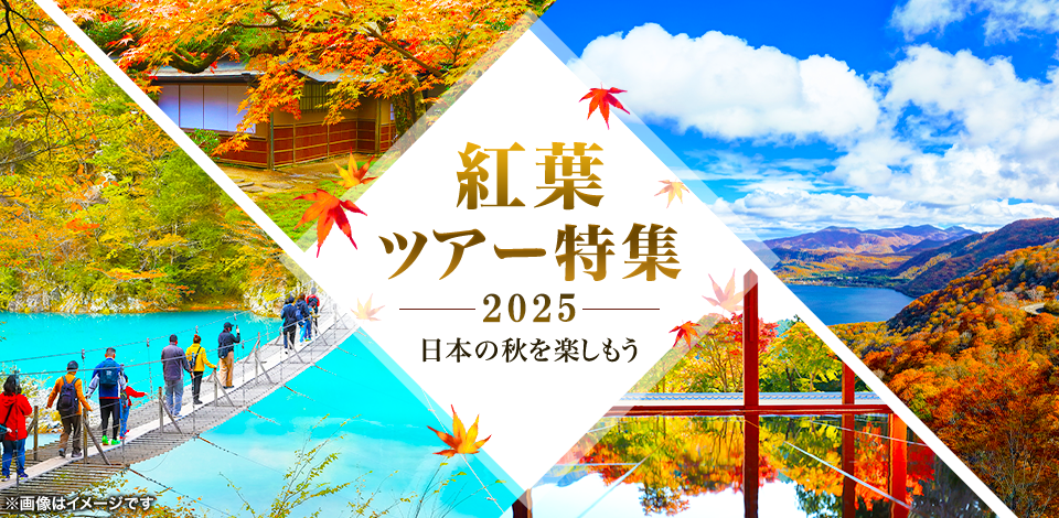  【中部・東海発】列車・飛行機で行く秋の紅葉ツアー・紅葉旅行2024