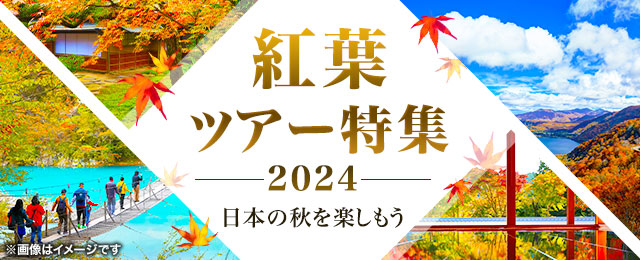 【埼玉・群馬・栃木発】秋の紅葉ツアー・紅葉旅行2023