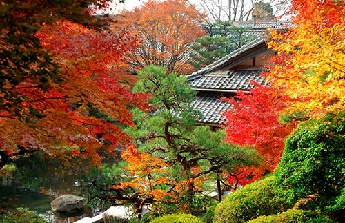 百済寺／写真提供：（公社）びわこビジターズビューロー