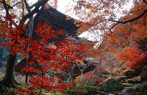 西明寺／写真提供：（公社）びわこビジターズビューロー