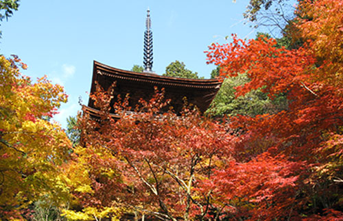 金剛輪寺／写真提供：（公社）びわこビジターズビューロー