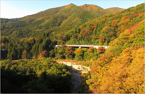 お客様撮影写真 茨城県在住・相澤孝一様
