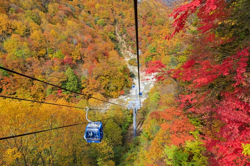 (イメージ)※紅葉の見頃は例年10月中旬~11月上旬