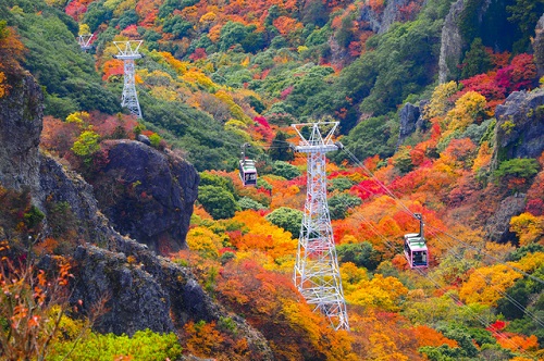 (イメージ)※紅葉の見頃は例年11月上旬~11月下旬