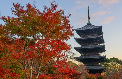 画像提供：東寺