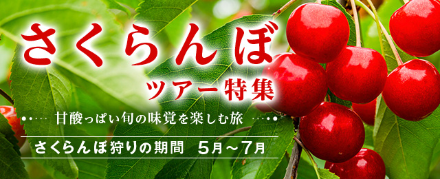 【東海・中部発バスツアー】さくらんぼ狩りツアー・旅行