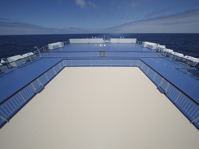 ドッグフィールド（イメージ）