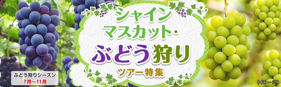 シャインマスカット狩り・ぶどう狩りツアー・旅行